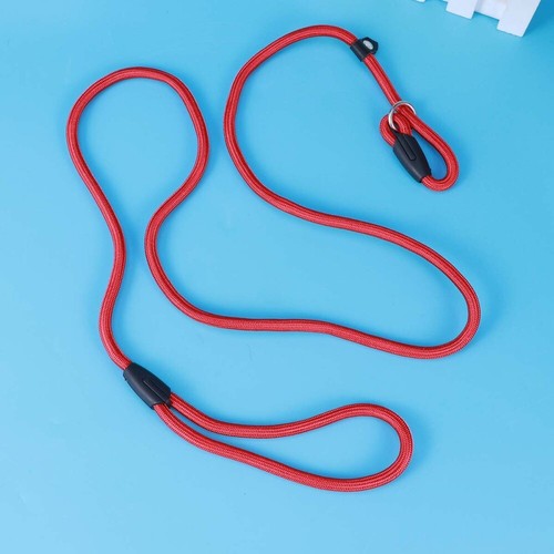 Dog Walking Leash Nylon Training Rope Orange for Dogs Leashes eBay