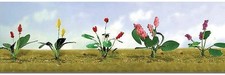 Flowering Plants Assortment 3, 3/4" 10