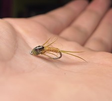 Green Drake Nymph 6 Flies 