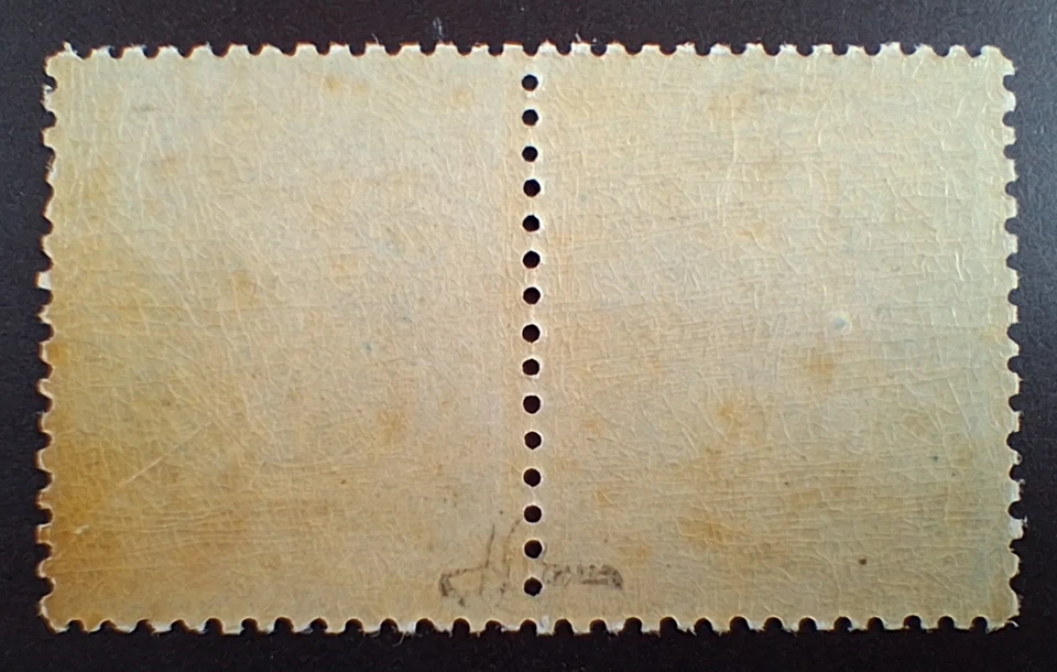 FRANCE PAIRE DU N°29B NEUVE GOMME ORIGINALE SANS CHARNIERE - Photo 2/2