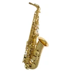 Selmer Paris SA80 Series II Alto Saxophone Jubilee Gold Lacquer