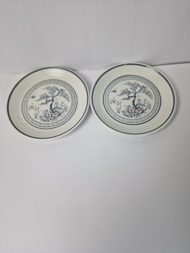Royal Doulton Lambethware Asian Dawn LS 1032 2 Tea Plates.