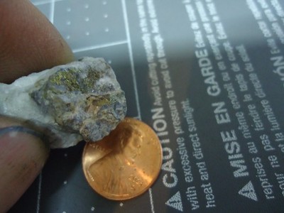 Visible GOLD & CALAVERITE in Quartz Specimen SUNNYSIDE MINE Silverton COLO S3-4C