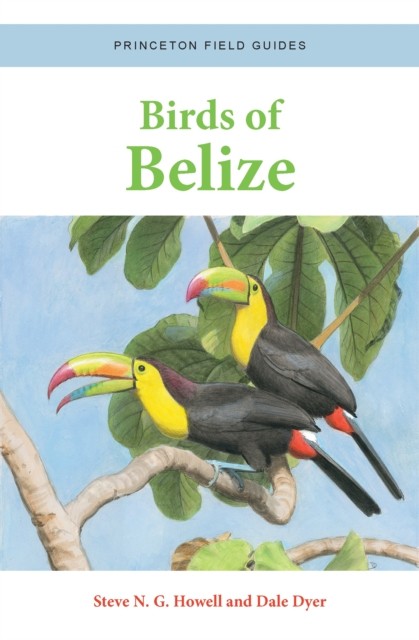 Birds of Belize by Dale Dyer (Paperback Book)