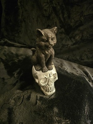 Gothic Cat on Skull Resin Figurine Black & White 3D Effect Sculpture