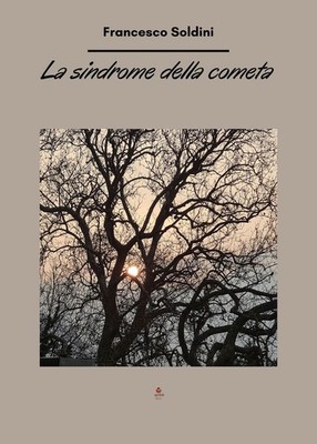 Buch - Soldini Francesco - Das Kometen-Syndrom - Attile