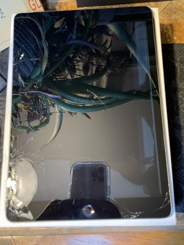 Apple iPad 5th gen (128gb) Needs LCD + Display Installed: INCLUDED {Need REPAIR} - Picture 2 of 14