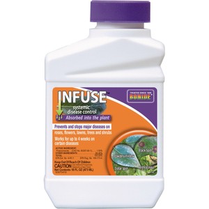 infuse fungicide bonide