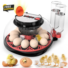 Incubators for Hatching Eggs,12 Incubator with Automatic and Humidity Control