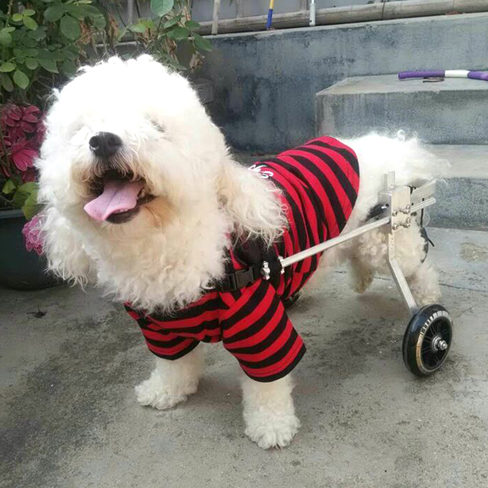 Image 1 - S/M/L Light Aluminum Pet Dog Wheelchair For Handicapped Dog/Cat To walk &amp; Wheels