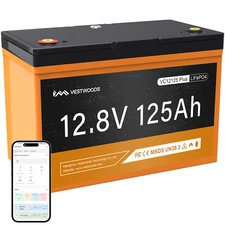 125Ah 12V Lithium Battery 100A BMS Group27 Deep Cycle LiFePO4 Bluetooth Solar RV