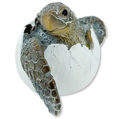 THE JOY TREE Hatching Sea Turtle - Sculpture Figurine Ocean Marine Décor