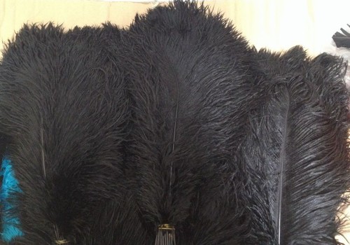 Black Ostrich Feathers/Plume/Wing/ Horse Feather 22-24 inch 50 Pcs (GA,USA) - Picture 1 of 1