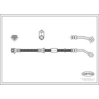 Corteco 19032897 Bremsschlauch FüR Honda Civic EJ EK EM1