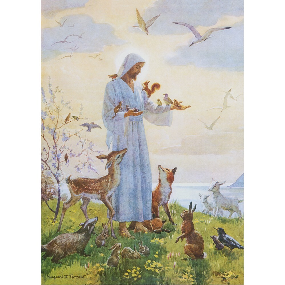 M W Tarrant - The Lesser Brethern - MEDICI POSTCARDS