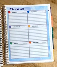 'This Week' Daily Lined Boxes Dashboard 4 use with Erin Condren Life Planner~