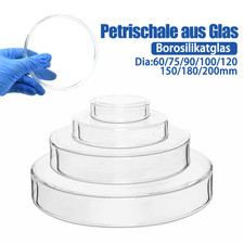 3.3 Borosilikatglas Petrischalen f&uuml;r professionelles Labor - 92% Lichtdurchlass