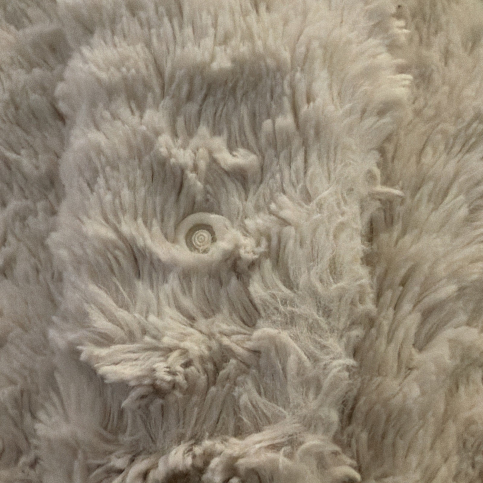 Patagonia Women’s Pelage Swing Style Jacket Asymmetrical Closure Faux Fur Fleece thumbnail 10