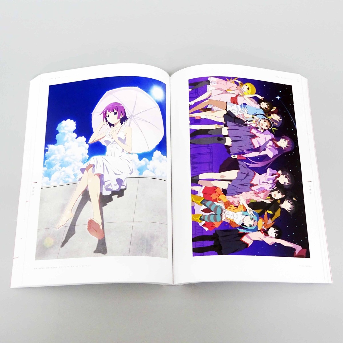 物語シリーズ Anniversary Illustration Works Bakemonogatari Animation 10th Anniversary Illustration Works Art