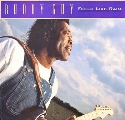 Buddy Guy - Feels Like Rain Vinyl LP Album Rock Blues Rock 0256