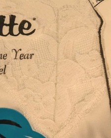 NOS Lingerie Slip 1960s Colette Tricot Lace Shadow Panel Mod Nylon Vtg Sealed