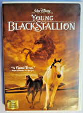 Young Black Stallion DVD 2004 Walt Disney Richard Fiske Family Adventure Movie