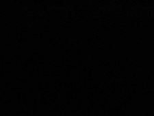 Canon EOS 400D 10.1MP Digital SLR Camera -black (body only )