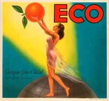 Valencia Espana Spanish Spain Eco Orange Citrus Fruit Crate Label Art Print