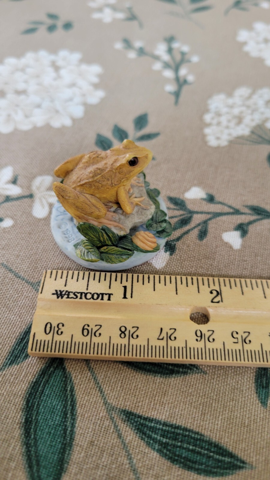 Picture 6 of 7