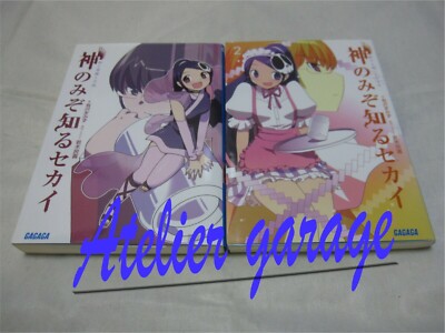 Used The World God Only Knows Novel Vol 1 2 2 Set Japanese Book Wakagi Tamiki Ebay