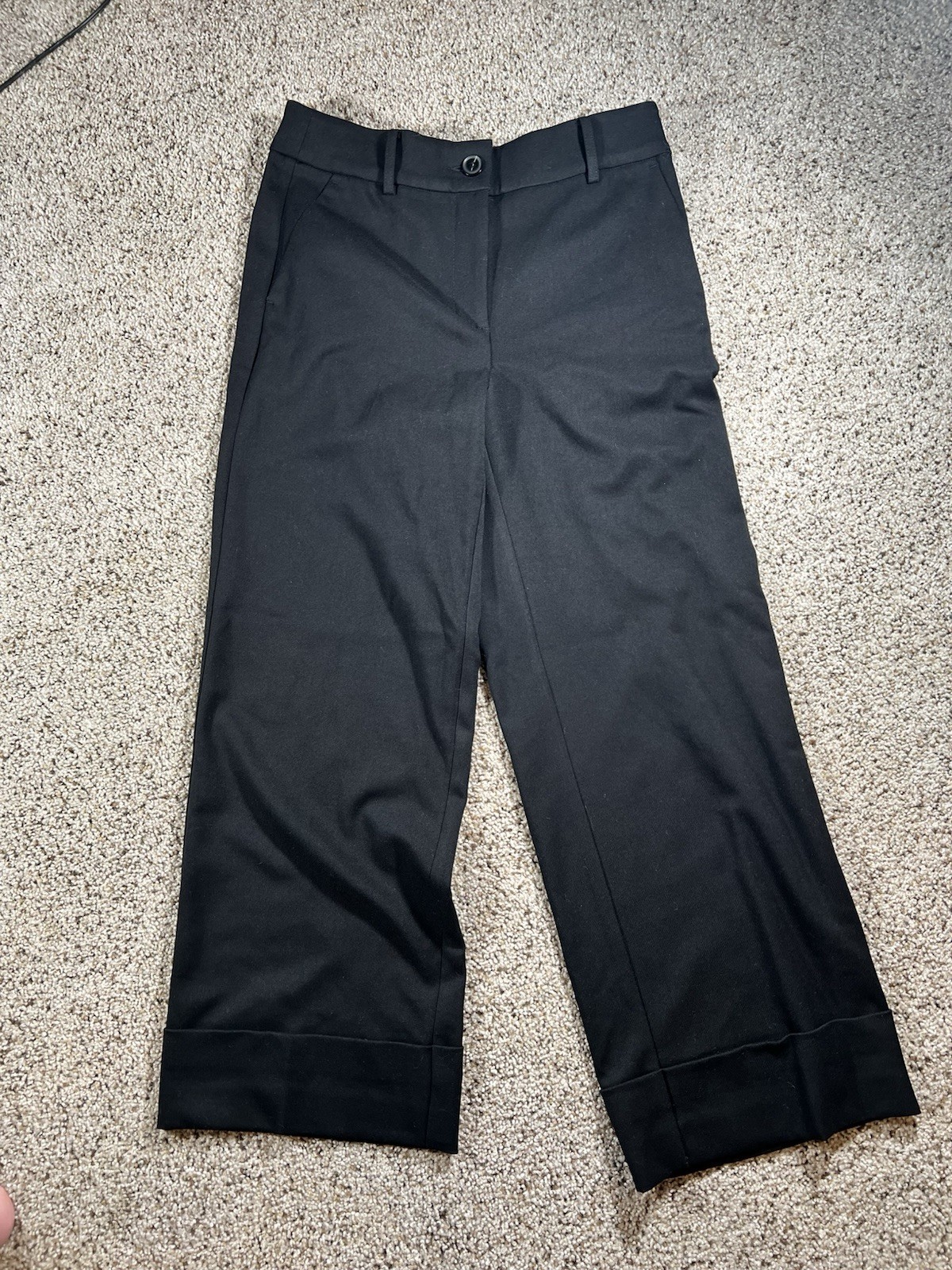 Women's LOFT Versa Seasonless Stretch Double Pleat Wide Leg Pants- Size 4