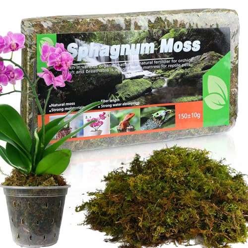 GOTVUGE Natural Sphagnum Moss for Orchids - Excellent  Assorted sizes