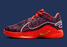 Nike Lebron 22 XXII SE Bright Crimson Red Obsidian Basketball Shoes GS Youth 5Y