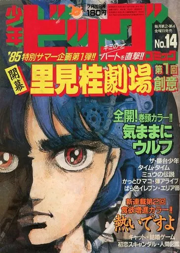 Shogakukan Shonen Big Comic Magazine July 26, 1985 Issue No.14 Vintage Japanese