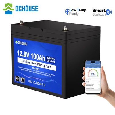 12V 100Ah LiFePO4 Lithium Battery 4000+ Deep Cycle For RV Marine Solar Off-grid