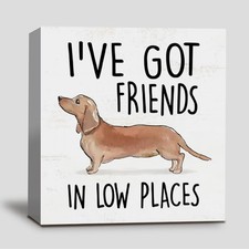 Dachshund Gifts For Women, Wiener Dog Gifts For Christmas, Dachshund Wiener D...