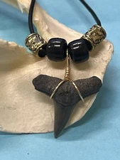 SHARK TOOTH NECKLACE ( FOSSILIZED ) .. 1 Inch LEMON Shark Tooth 