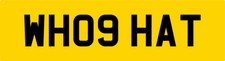 HARRIET NEAT CAR REG NUMBER PLATE WH09 HAT ALL FEES PAID - HATTY HATY HATTIE HAZ
