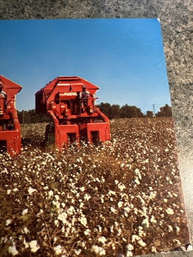 KING COTTON still reigns in the NEW SOUTH A DEEP SOUTH CARD - Unposted POSTCARD - Picture 8 of 9