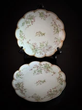 2 VTG HAVILAND & CO Limoges Floral Plates w/ Scalloped Gold Border 7 1/2” France