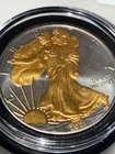 2021 American Silver Eagle 1 oz Pure Silver Dollar 24K Gold Gilded Two-Tone BU