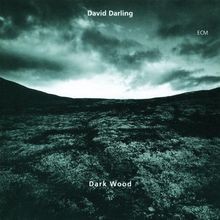 Dark Wood von Darling, David | CD | Zustand sehr gut