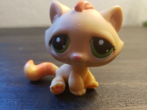 lps orange cat