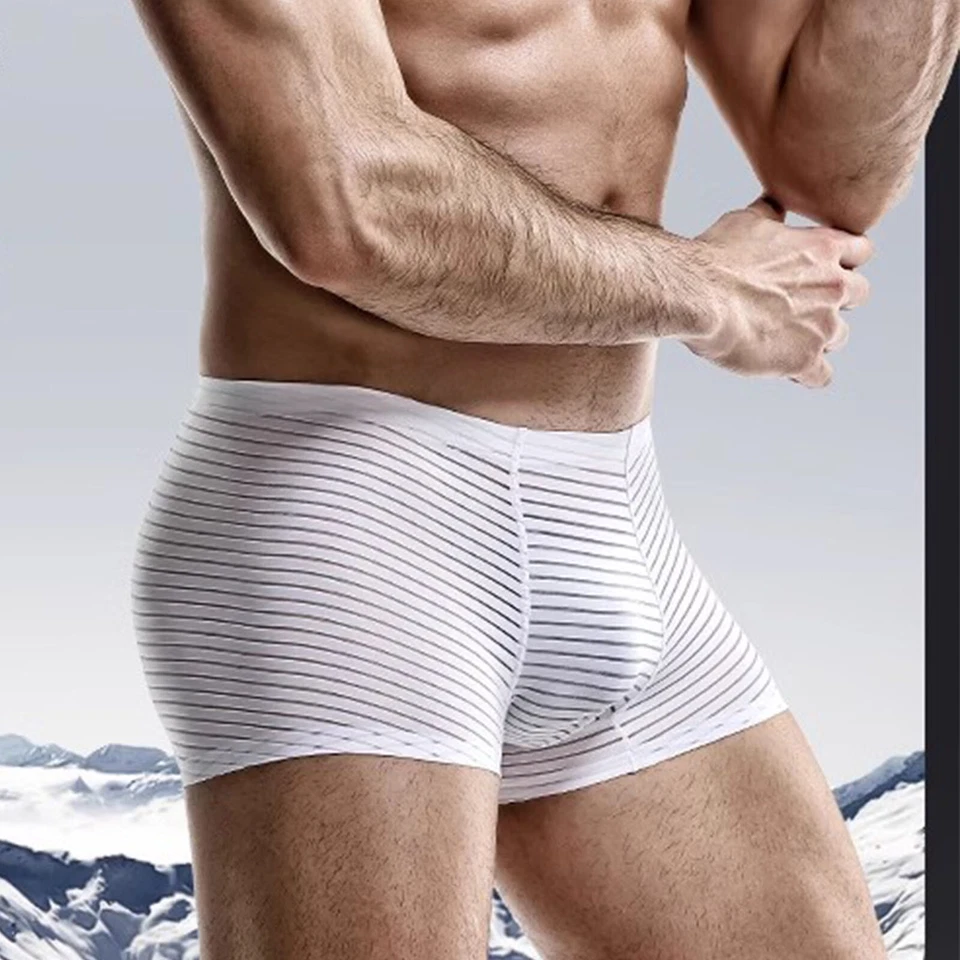 Roupa íntima masculina sexy cuecas boxer shorts de seda gelo calcinha bolsa de malha cueca - Imagem 4 de 4
