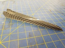 EDP 3009 Hydro Dipped Carbon Fiber Dragster Body w/ Wind Screen Drag body