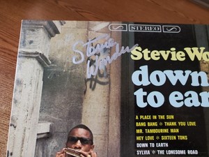 Stevie Wonder Down to Earth | eBay