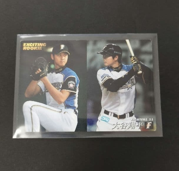 Shohei Ohtani 2013 Calbee Exciting Rookie D-07 Japanese Baseball Card #11 JP