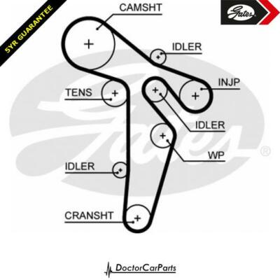 vw 2.0 timing belt replacement