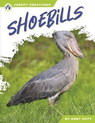 SHOEBILLS by DOTY, ABBY Paperback Self Help Business