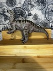 Foto 1 di 19